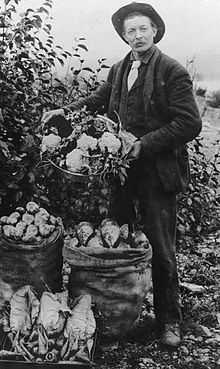 B 1. Italian farmer in the Mississippi Delta in 1909