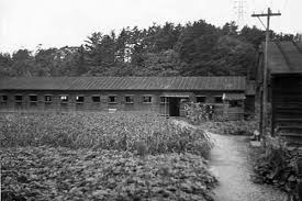 5. Ofuna Prison Camp