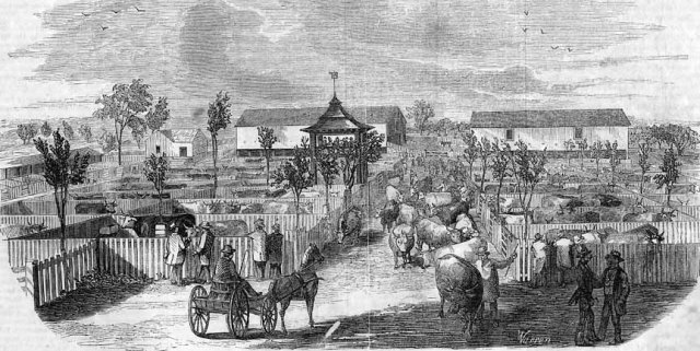 8. BrightonCenterDrawingCattleMarket1850s_Lo