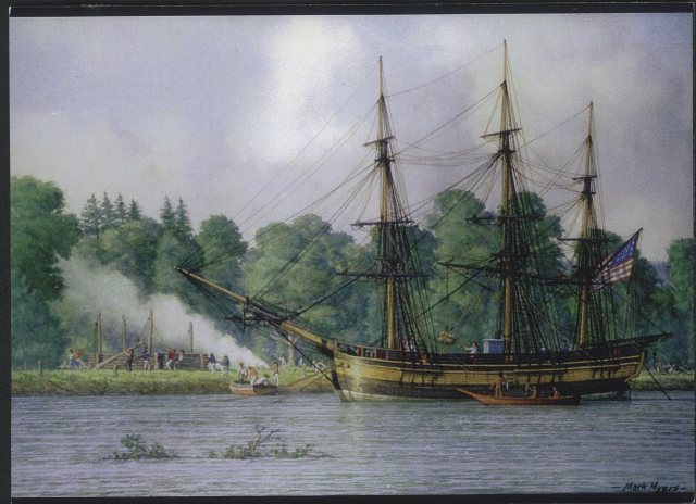 Albatross_at_Oak_point_columbia_river_watercolour_by_Mark_Myers_2006