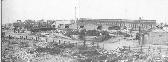 North Brighton Stockyards 1